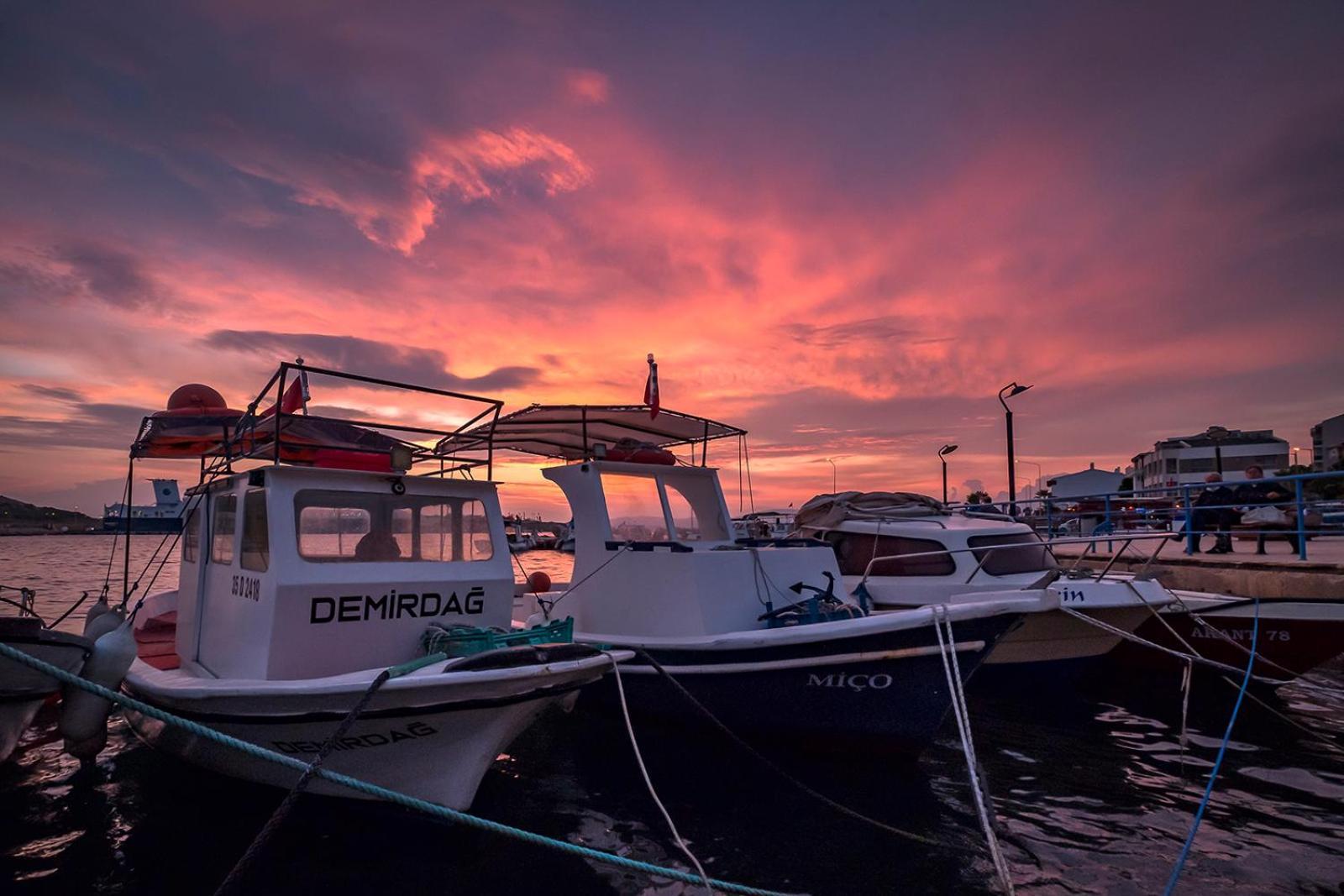 Villa Vongole Çeşme エクステリア 写真